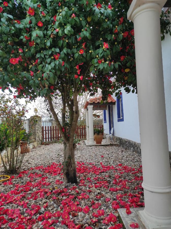 Fazenda Do Marante Hostel Tomar Εξωτερικό φωτογραφία