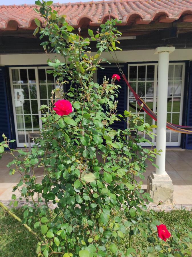 Fazenda Do Marante Hostel Tomar Εξωτερικό φωτογραφία